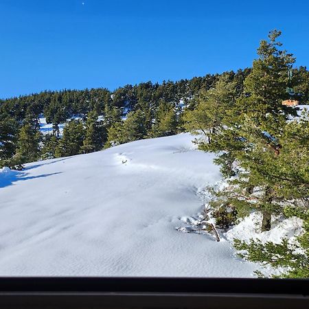 Apartament Greolieres Les Neiges Zewnętrze zdjęcie