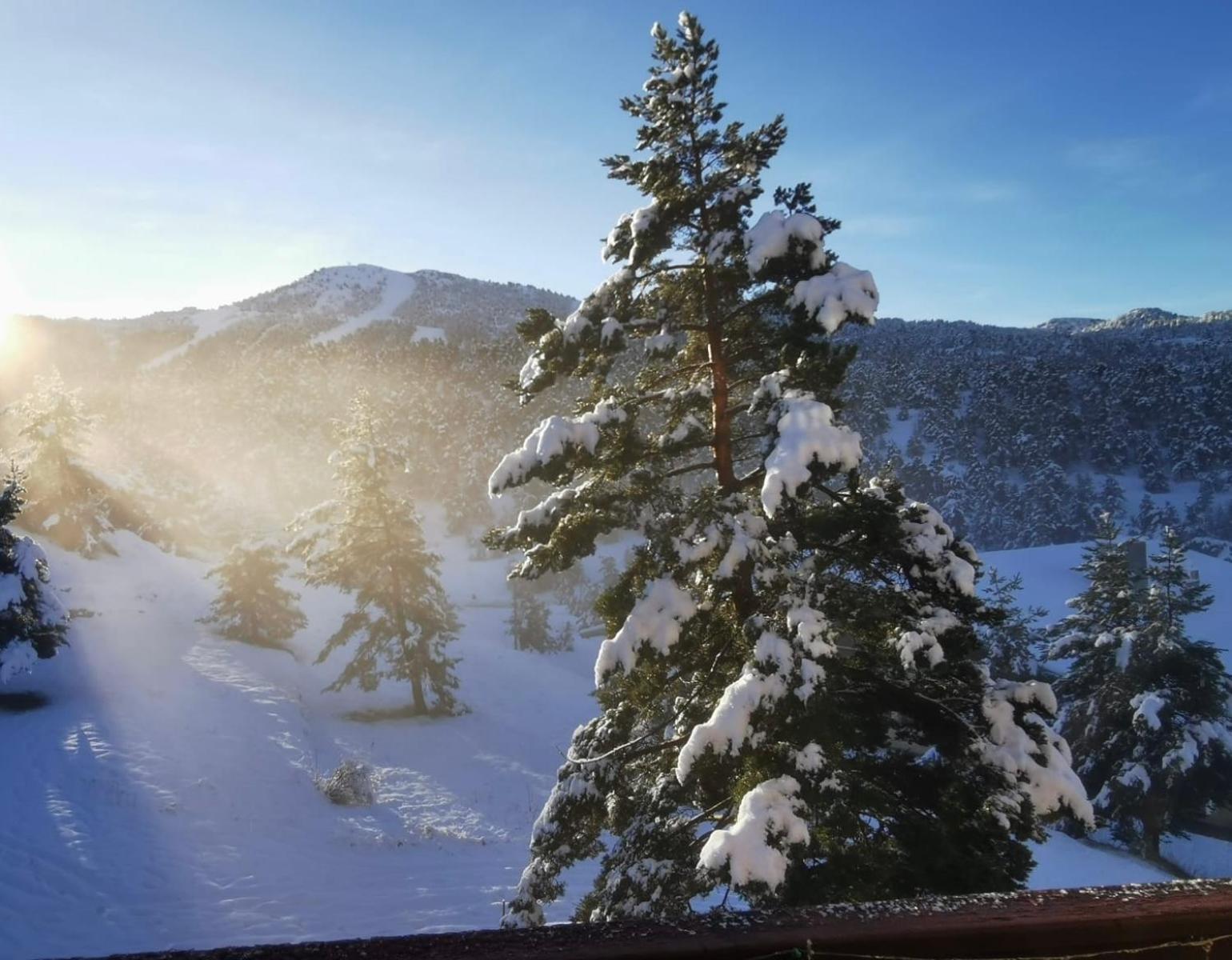 Apartament Greolieres Les Neiges Zewnętrze zdjęcie