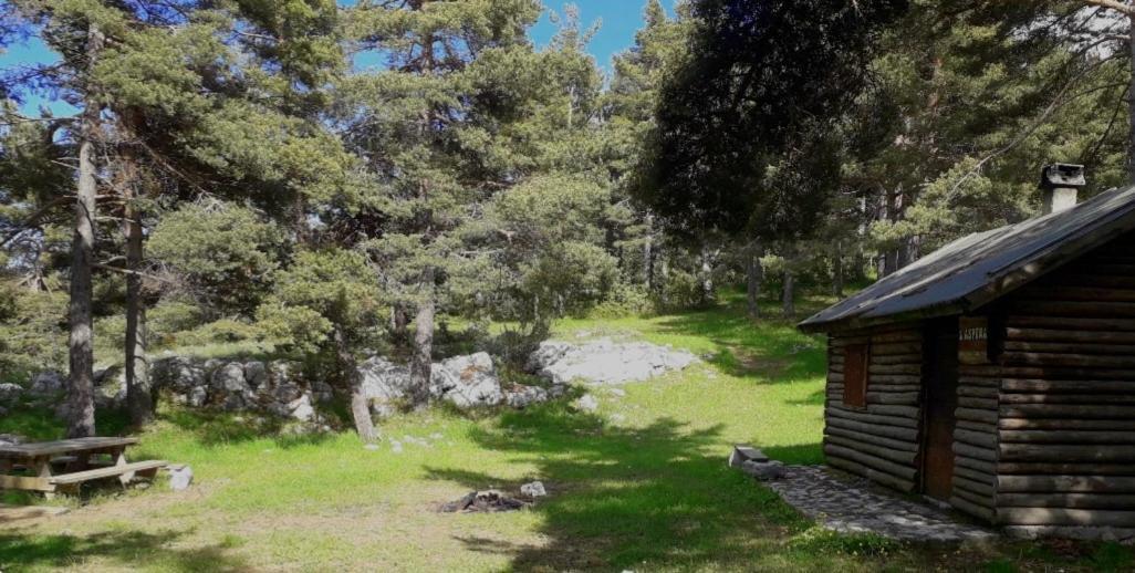 Apartament Greolieres Les Neiges Zewnętrze zdjęcie