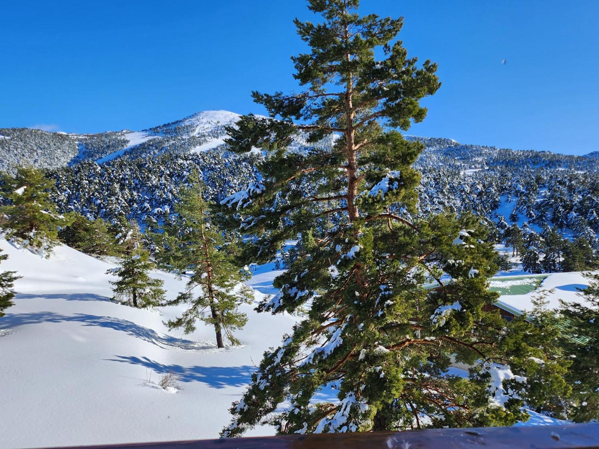 Apartament Greolieres Les Neiges Zewnętrze zdjęcie
